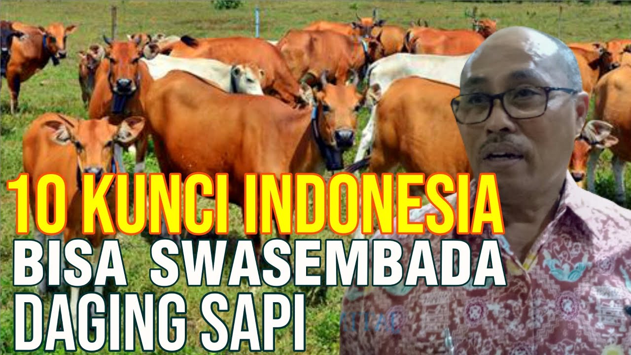 
                                 10-Kunci-Indonesia-Bisa-Swasembada-Daging-Sapi